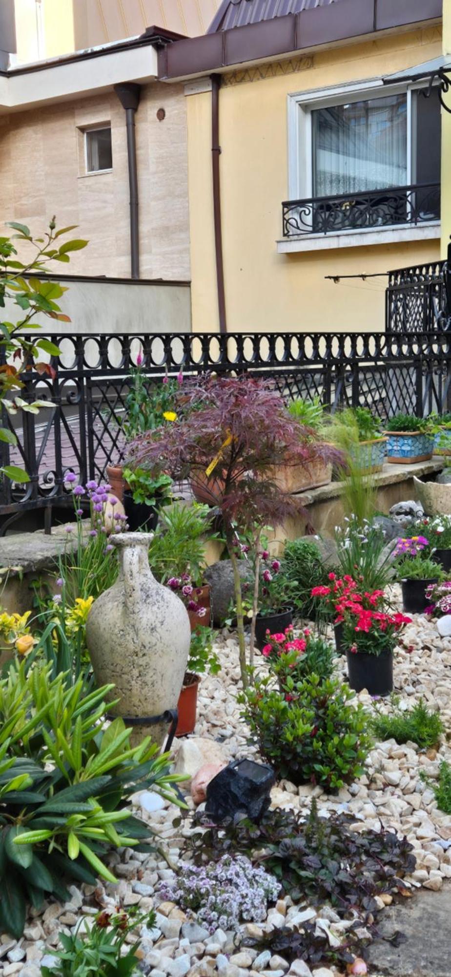 Luxury Private House In City Center Veliko Tárnovo Habitación foto